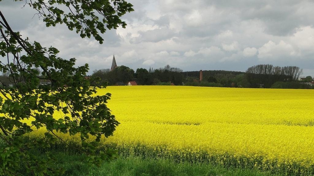 Fewo Rügen Böttger Poseritz Exterior foto
